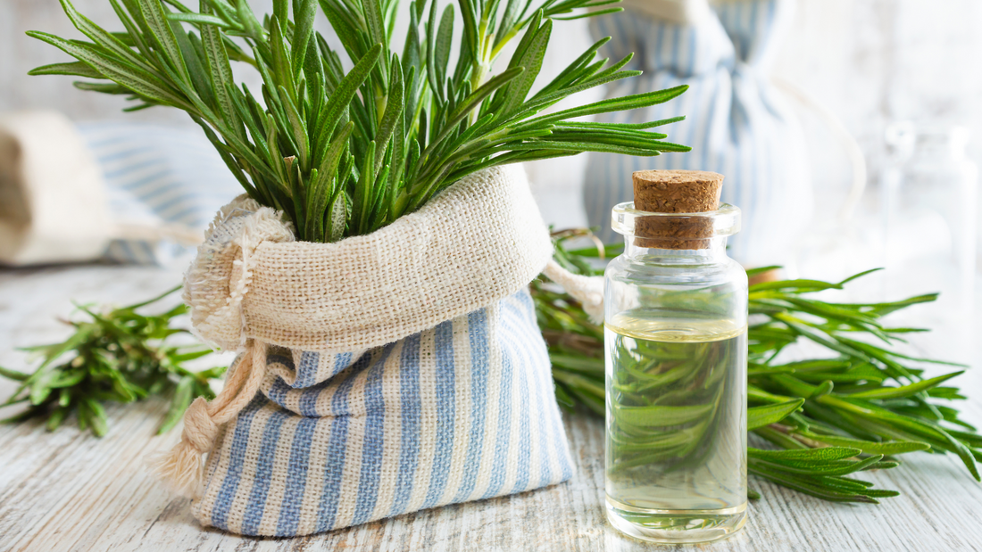 The Benefits of Using Rosemary Oil in Your Hair